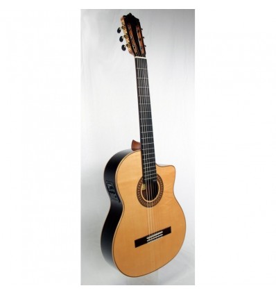 MARTINEZ GUITARRA FLAMENCA PALOSANTO MFG-RS CE PSY-301