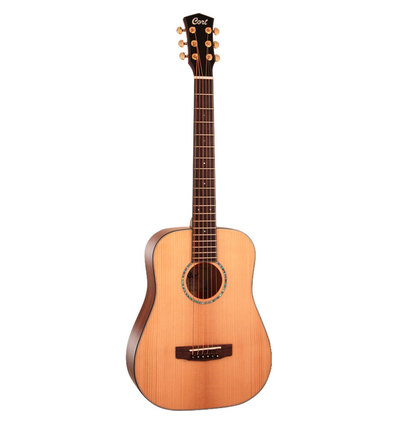 GOLD MINI DREADNOUGHT WITH BAG