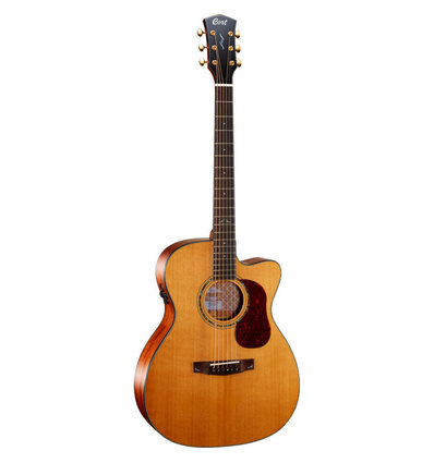 GOLD-OC6 ELECT NAT GLOSS