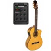 JOSE GOMEZ GUITARRA FLAMENCA FISHMAN C320.590CEQ