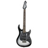RAPTORÂ® CUSTOM SILVERBURST