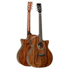 GUITARRA ACÚSTICA TANGLEWOOD PACIFIC WALNUT BRILLO