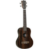 UKELELE TENOR TANGLEWOOD TWT19