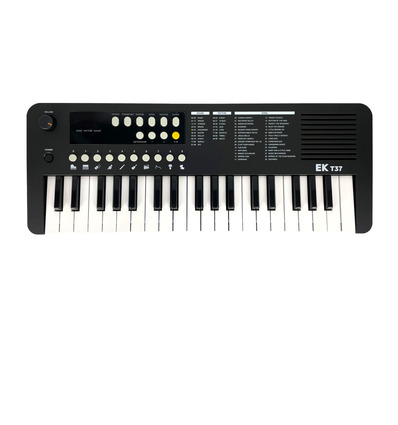 TECLADO EK NEGRO EKT37BK 