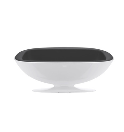 SPACE DOCK 38''