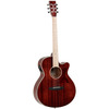 GUITARRA ACÚSTICA TANGLEWOOD TW4BLB SERIE WINTERLEAF BLONDE