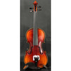 VIOLÍN AMADEUS 3/4 BRILLO VP301E-B