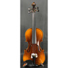 VIOLÍN AMADEUS 4/4 BRILLO VZ505E44B