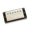 ANTIQUITY HUMBUKER NECK