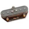 ANTIQUITY FOR TELECASTER '55 LEAD RAISE D&G