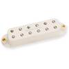SJBJ-1B JB JR STRAT PARCHMENT