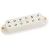 BILLY GIBBONS' RED DEVIL BRIDGE PARCHMENT