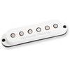 SSL-6 CUSTOM FLAT FOR STRAT RWRP