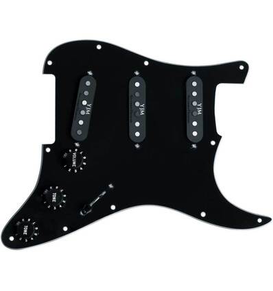 STK-S10PGD YJM FURY PG ASSY BLACK