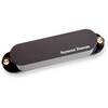 AS-1N BLACKOUTS HOT STRAT BLK