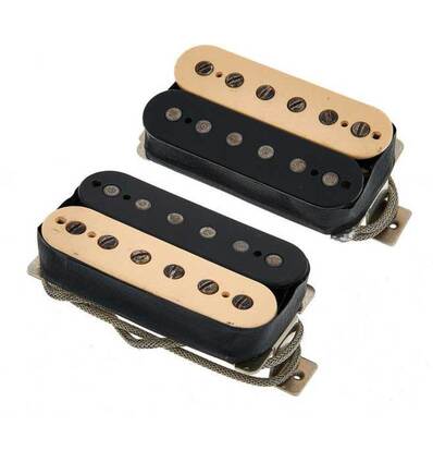 BONAMASSA AMOS ZEBRA SET