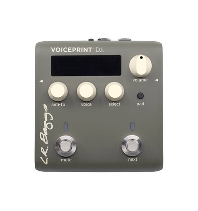 VOICEPRINT DI