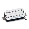 SH-5 DUNCAN CUSTOM RNKL RAD GLD MSH