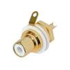 NYS367-9 BLANCO (UD)