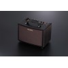 BOSS AMPLIFICADOR ACUSTICA AC-22LX