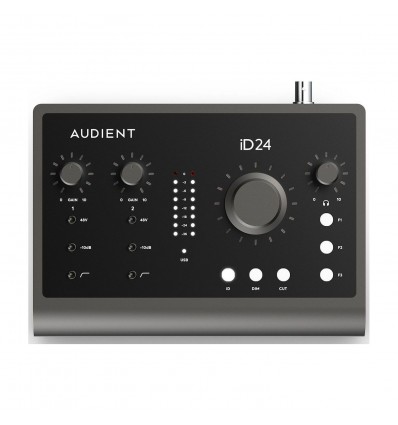 AUDIENT INTERFACE ID24