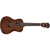 QUK-20C CONCERT
