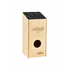 VR-CAIX