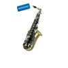 SAXO ALTO J. MICHAEL BPAL-AL1100AG