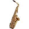 SAXO ALTO J. MICHAEL LACADO AL780