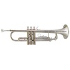 TROMPETA AMADEUS NIQUELADA TP-807N 