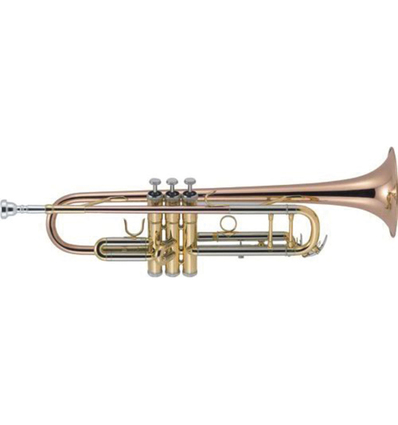 TROMPETA J. MICHAEL TR450 EN SI BEMOL  