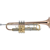 TROMPETA J. MICHAEL TR450 EN SI BEMOL  